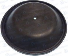 DIAPHRAGM FOR GS20030