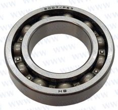 BEARING 6007