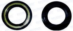 OIL SEAL