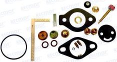 CARBURETOR KIT