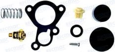 THERMOSTAT KIT