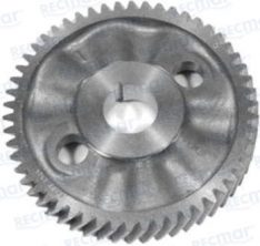 GEAR: CAMSHAFT 181 54 TEETH