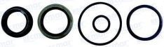 CRANKSHAFT SEAL KIT