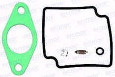 CARBURETOR KIT