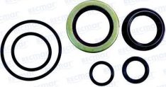 CRANKSHAFT SEAL KIT