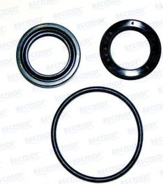 GASKET SET STEERING PISTON DPX