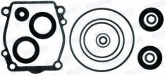 LOWER UNIT SEAL KIT