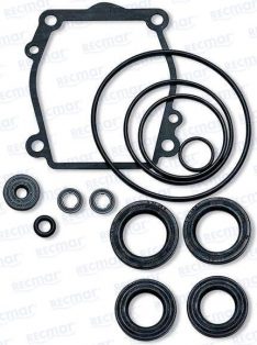 LOWER UNIT SEAL KIT