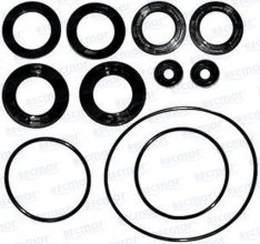 LOWER UNIT SEAL KIT