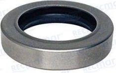 OIL SEAL