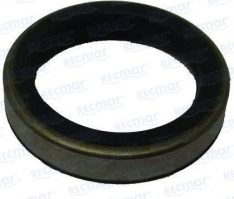 OIL SEAL