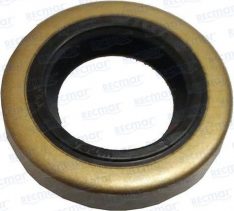 OIL SEAL