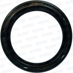 KIT OIL SEAL AND ORING