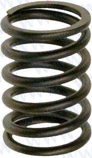 VALVE SPRING