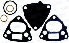 FUEL PUMP DIAPHRAM KIT