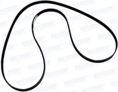 SERPENTINE BELT MCM