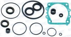 LOWER UNIT GASKET KIT